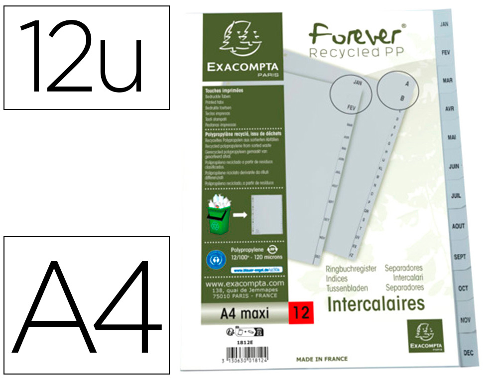 INTERCALAIRES: INTERCALAIRES IMPRIMES MENSUELS EXACOMPTA POLYPROPYLENE A4  12POSITIONES / MOIS GRIS